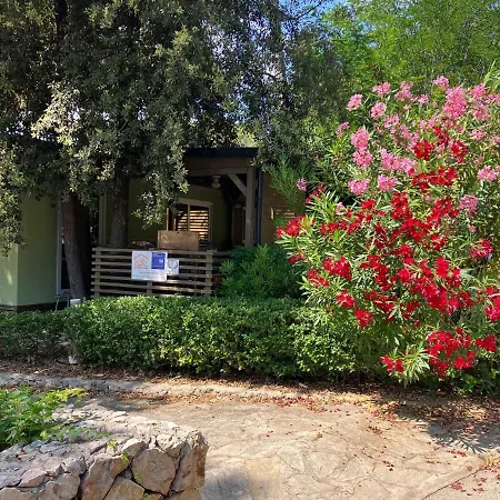 Sunny Soline 4* Биоград-на-Мору