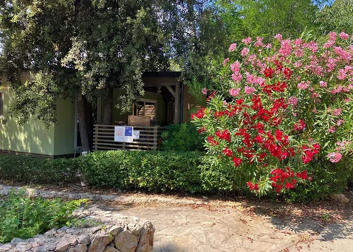 Sunny Soline 4* Биоград-на-Мору