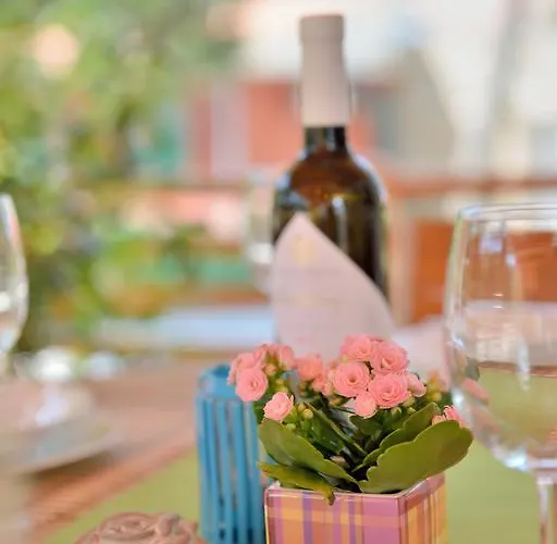 Sunny Soline Camping