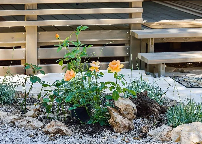 Sunny Soline Biograd Na Moru