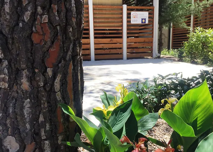 Sunny Soline Camping Biograd Na Moru