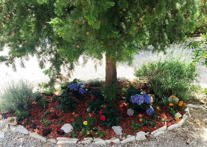 Sunny Soline Biograd Na Moru