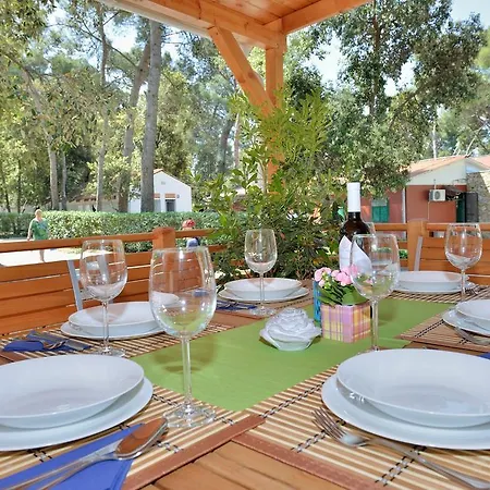 Sunny Soline Campingplads