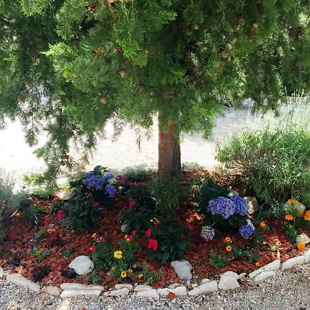 Sunny Soline Biograd Na Moru