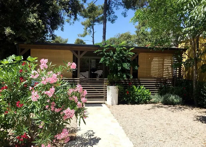 Sunny Soline Κάμπινγκ